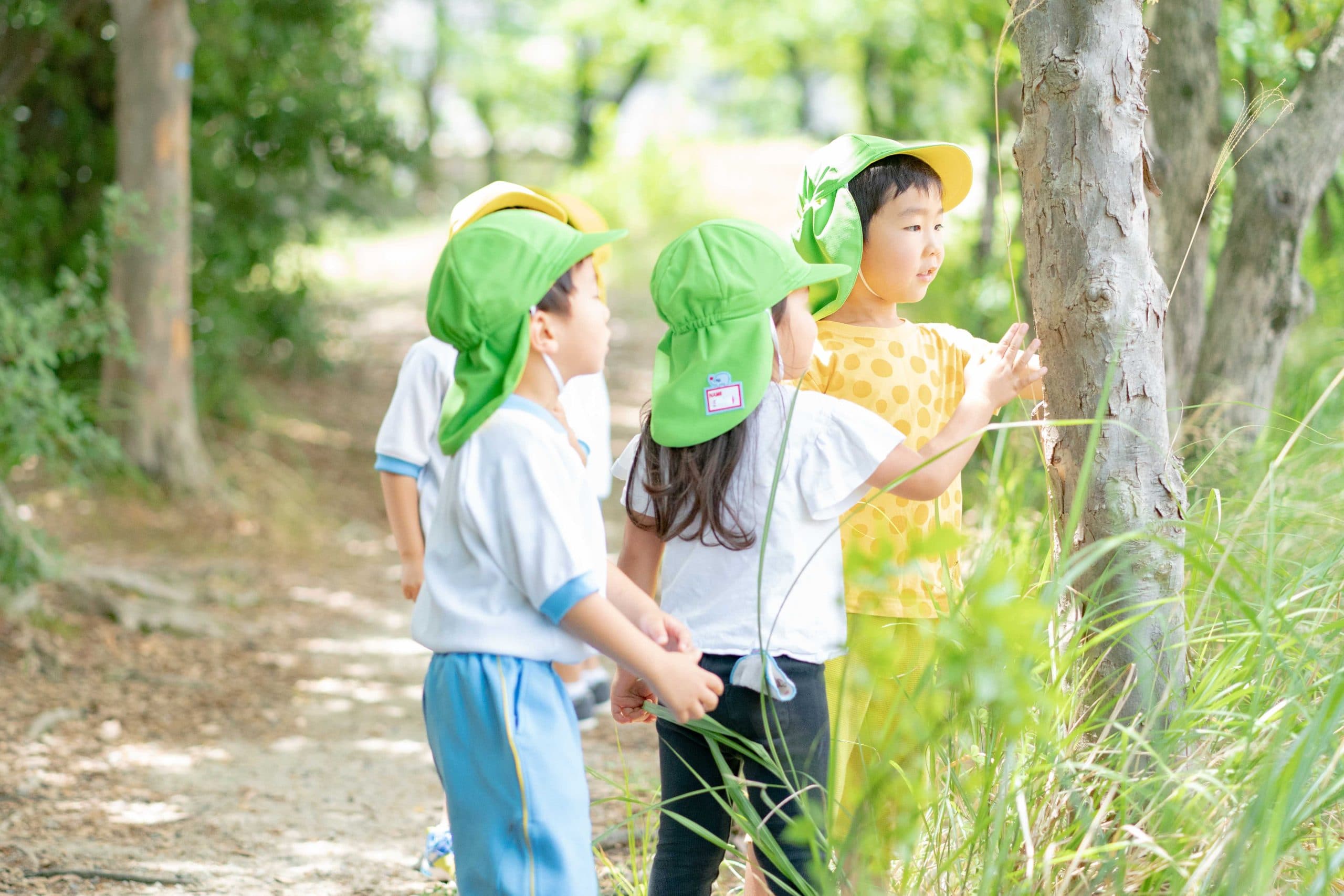 日々のようす 写真2