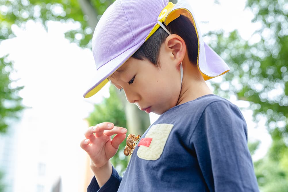 日々のようす 写真2