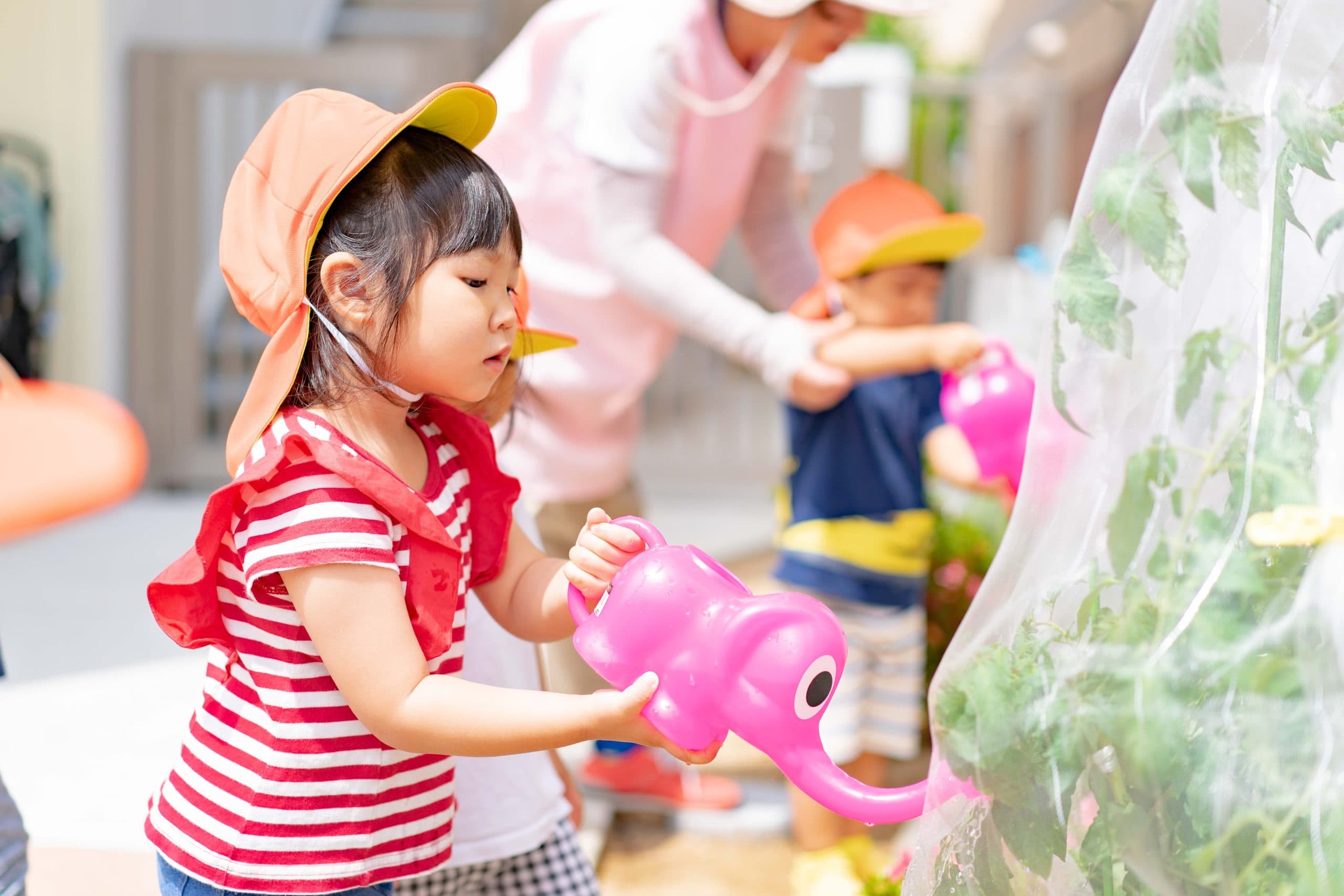 日々のようす 写真3
