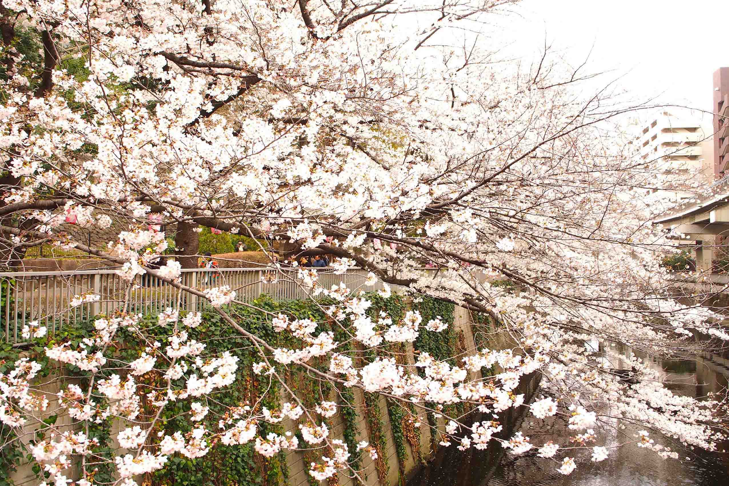 日々のようす 写真7