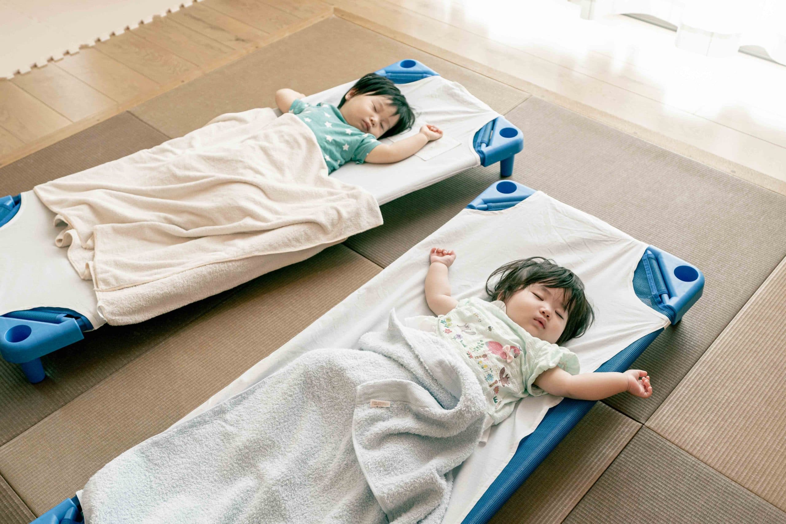 日々のようす 写真7