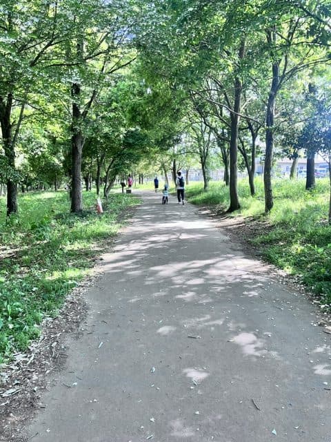 記事画像