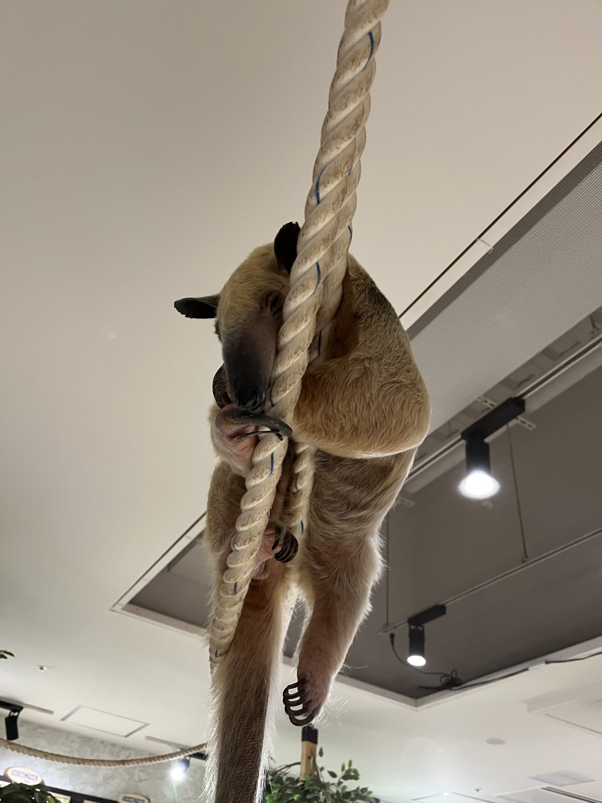 記事画像